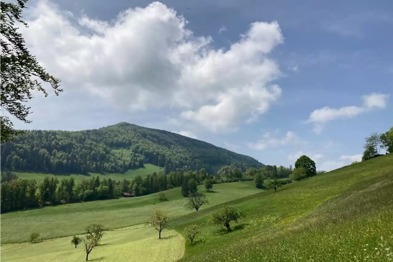 Das Wetter zeigte sich zum Wochenabschluss versöhnlich