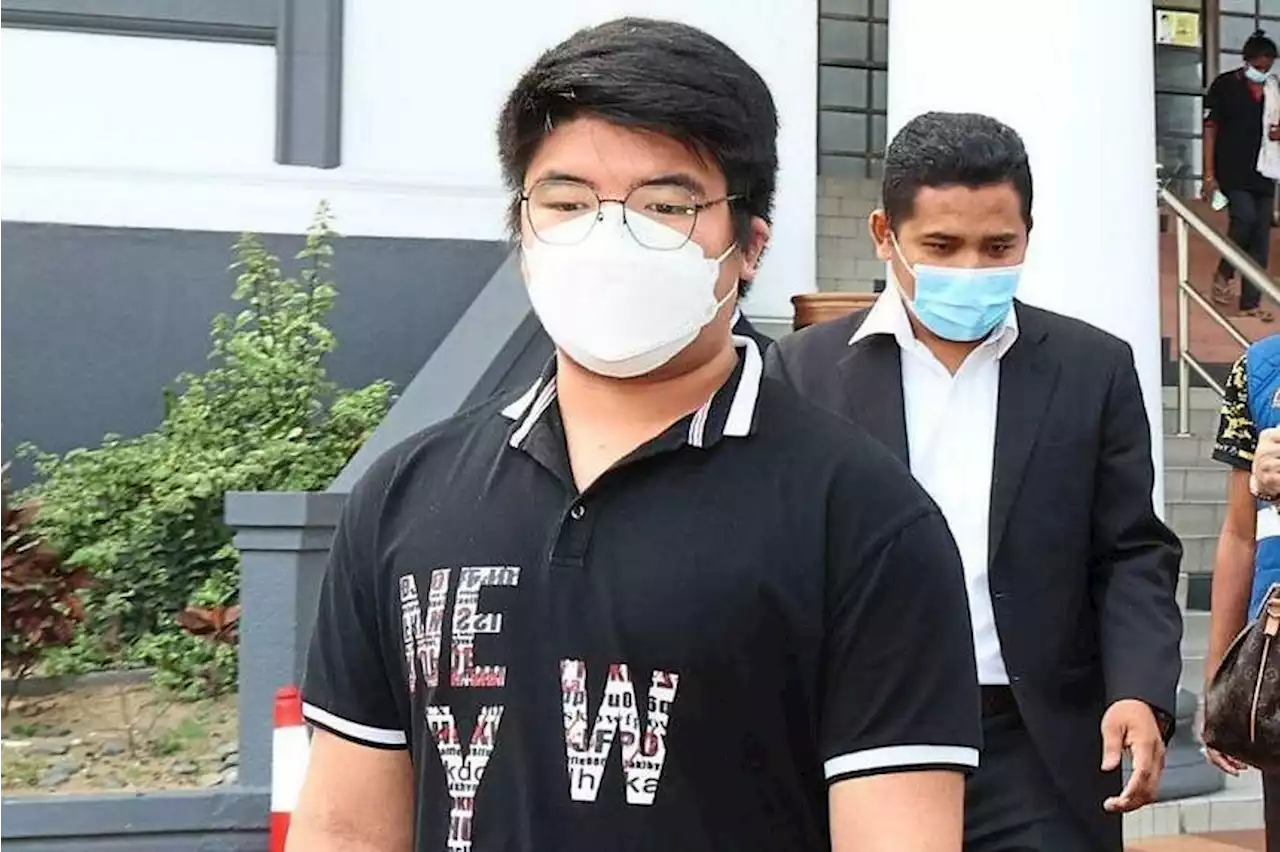 Johor High Court dismisses caning sentence for youth who set dog on fire