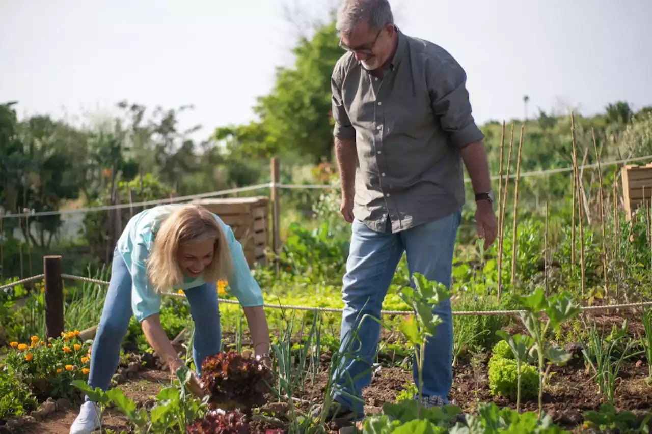 Hey, greenthumbs! Want to help with a local research project?