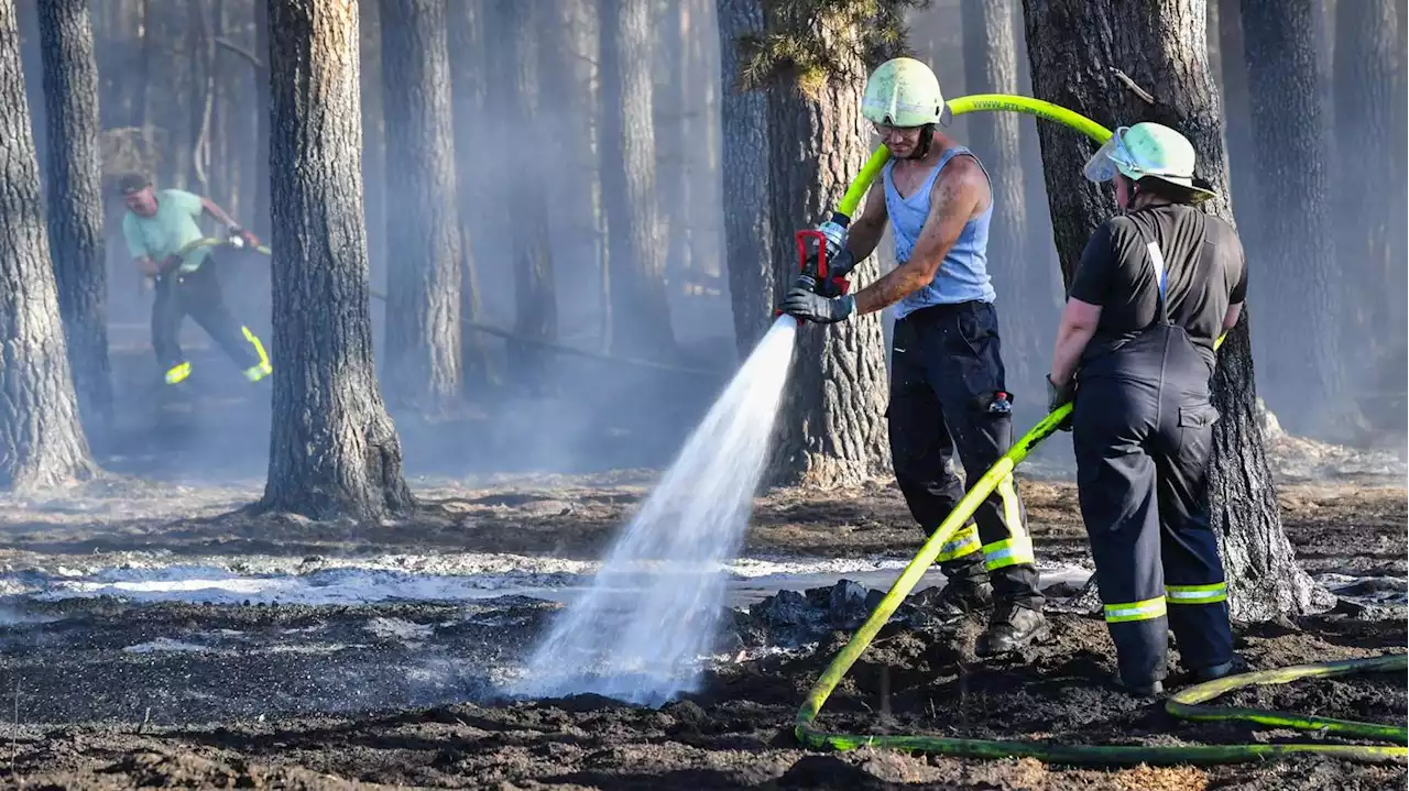 Seit Saisonbeginn 40 Feuer: Feuerwehr bekämpft am Sonntag mehrere Waldbrände in Brandenburg