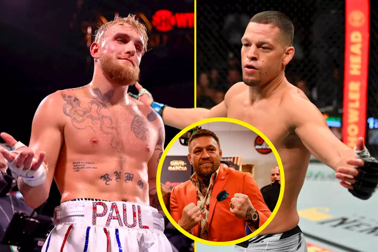 Conor McGregor labels Jake Paul a 'donkey' and makes prediction for fight with Nate Diaz