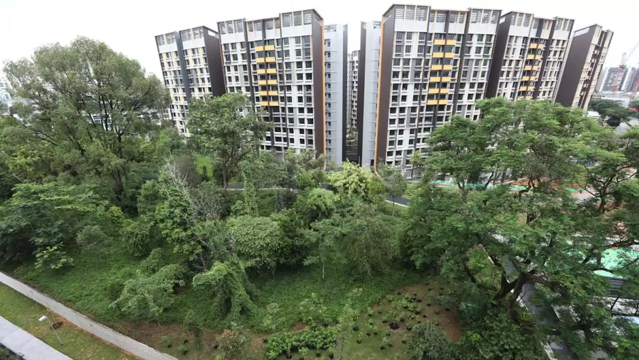 More than 70% of Bidadari estate completed, remainder set for completion by 2025