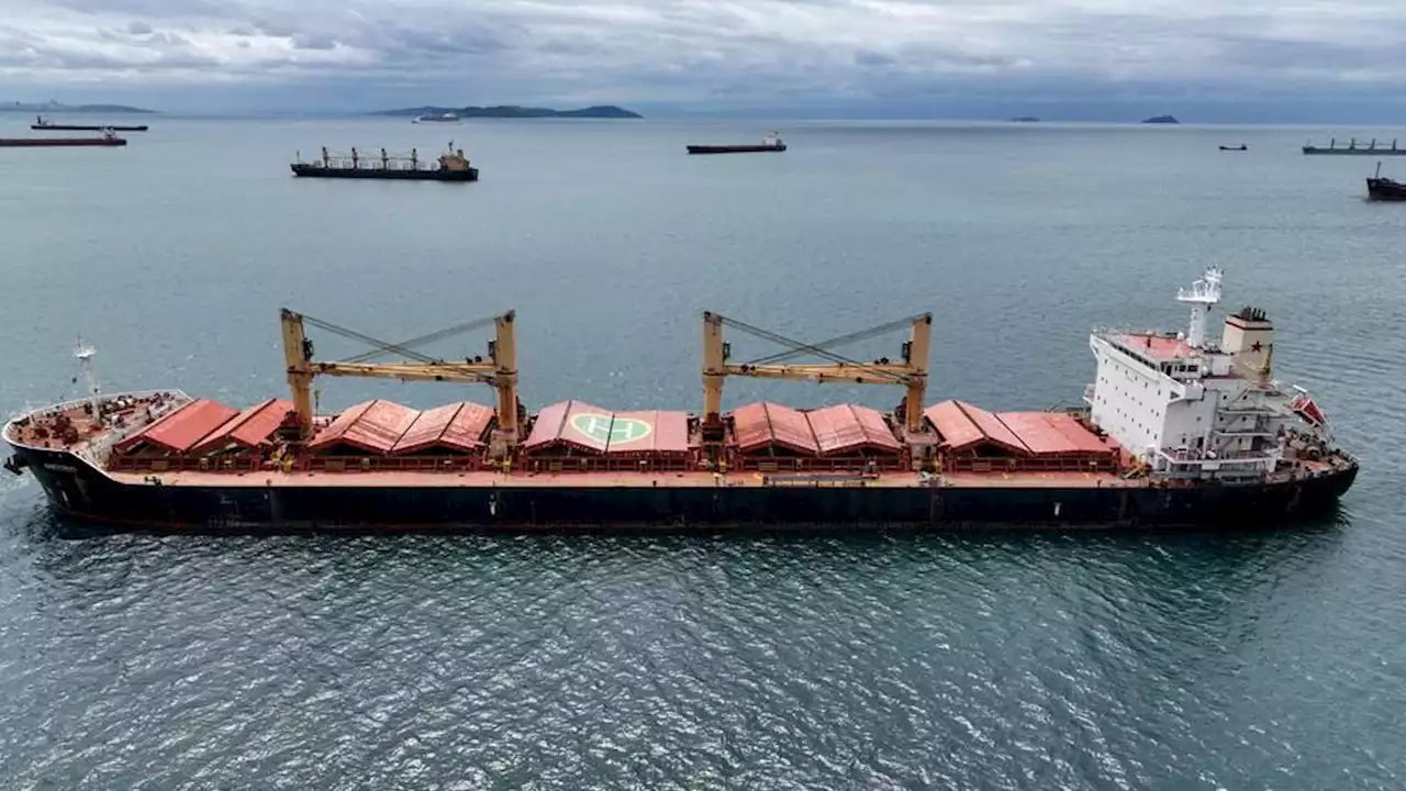 Black Sea grain deal keeps global food supplies flowing: WFP