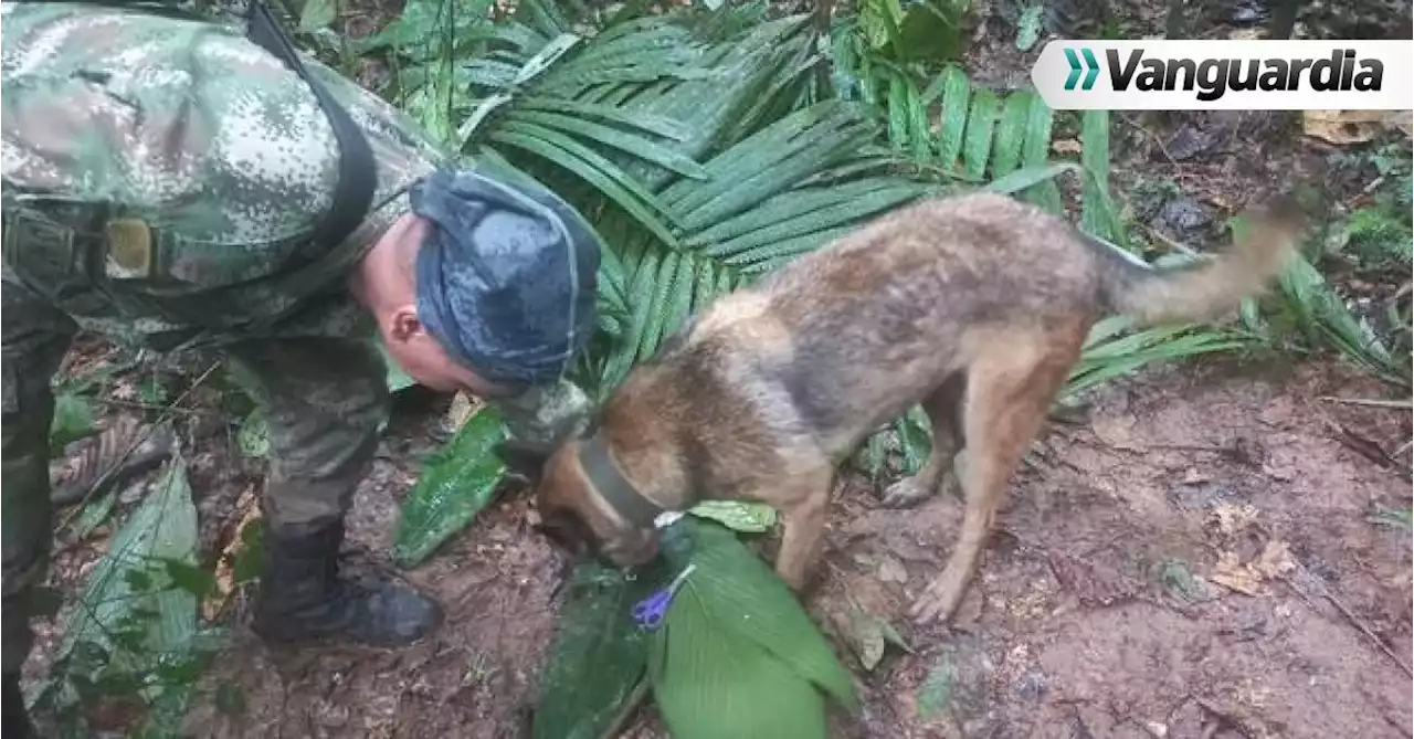 Con radios, volantes, y kits continúa la búsqueda de los menores en Guaviare