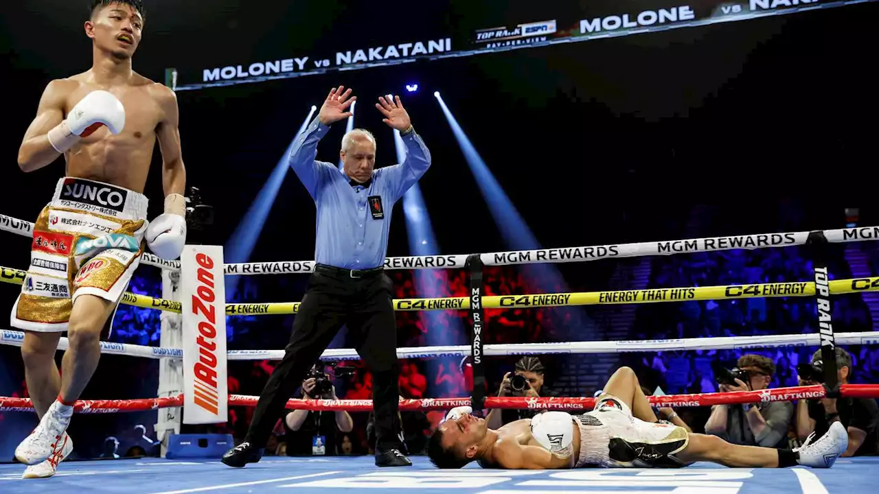 Junto Nakatani lays out Andrew Moloney with brutal KO for super flyweight title