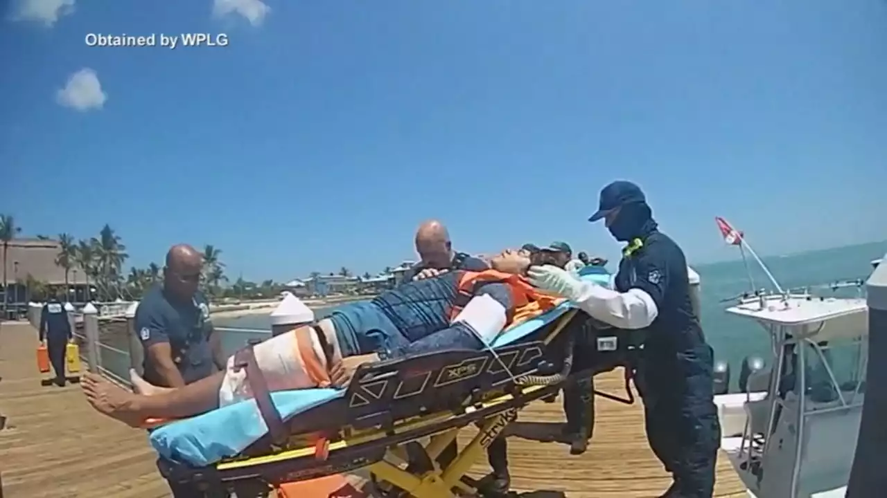 College student helps save own leg after near-deadly shark attack, hopes to become doctor