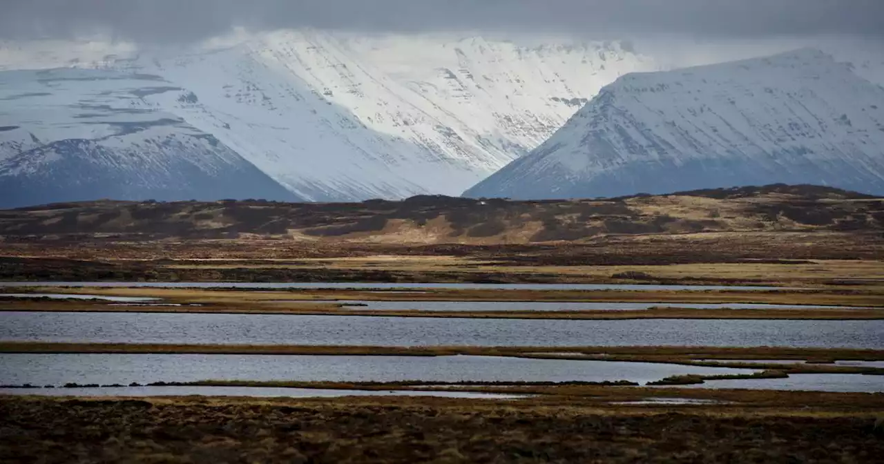 Feds launch review of land exchange proposal needed to build road in Alaska’s Izembek refuge