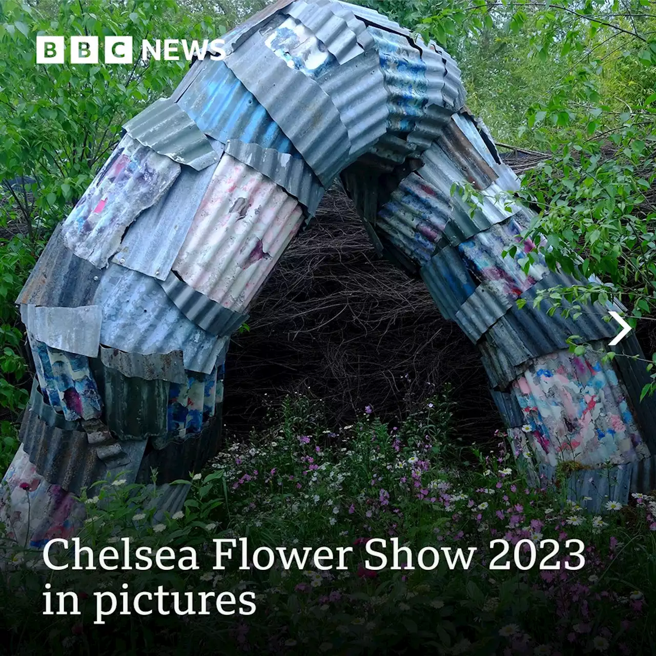 Picnics and blooms: The Chelsea Flower Show in pictures