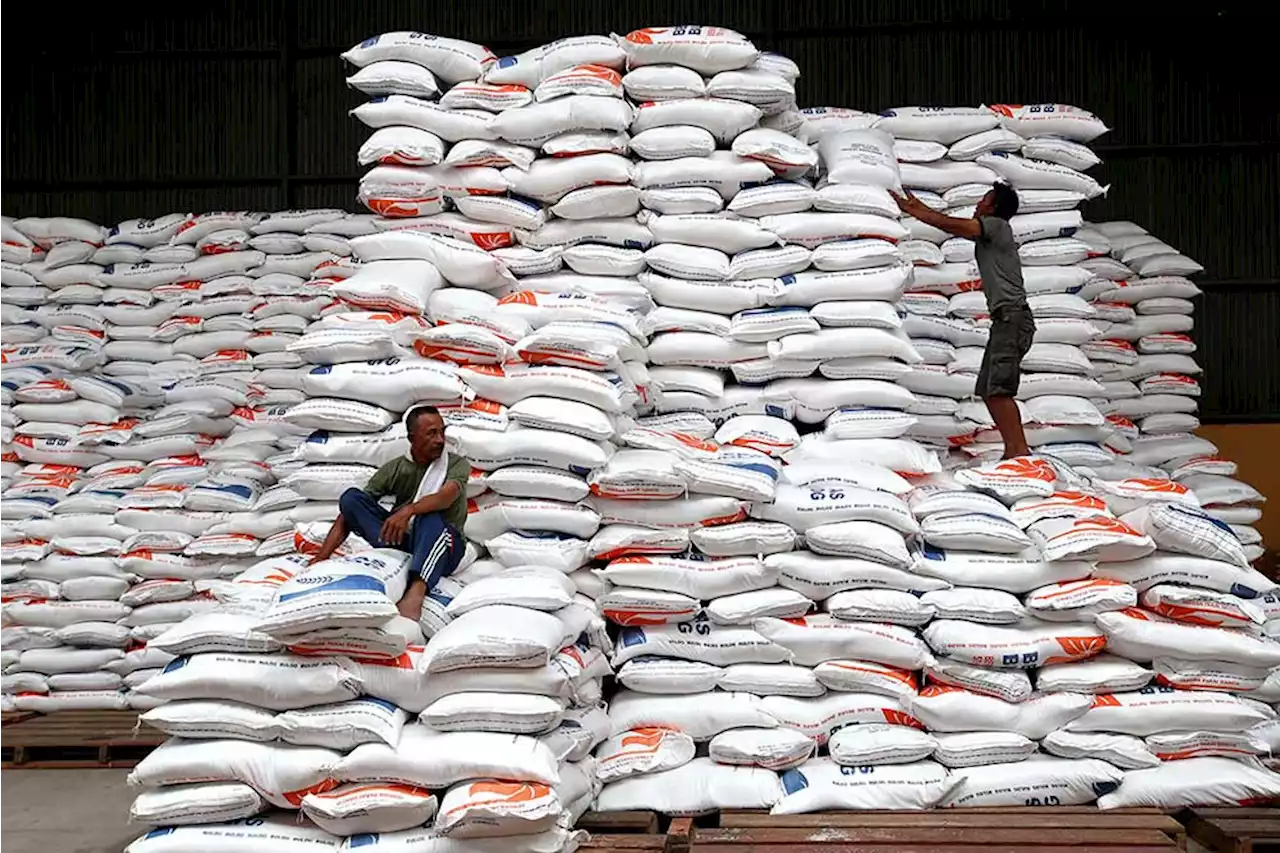 Hadapi El Nino, Pemerintah Bahas Opsi Impor Bahan Pangan