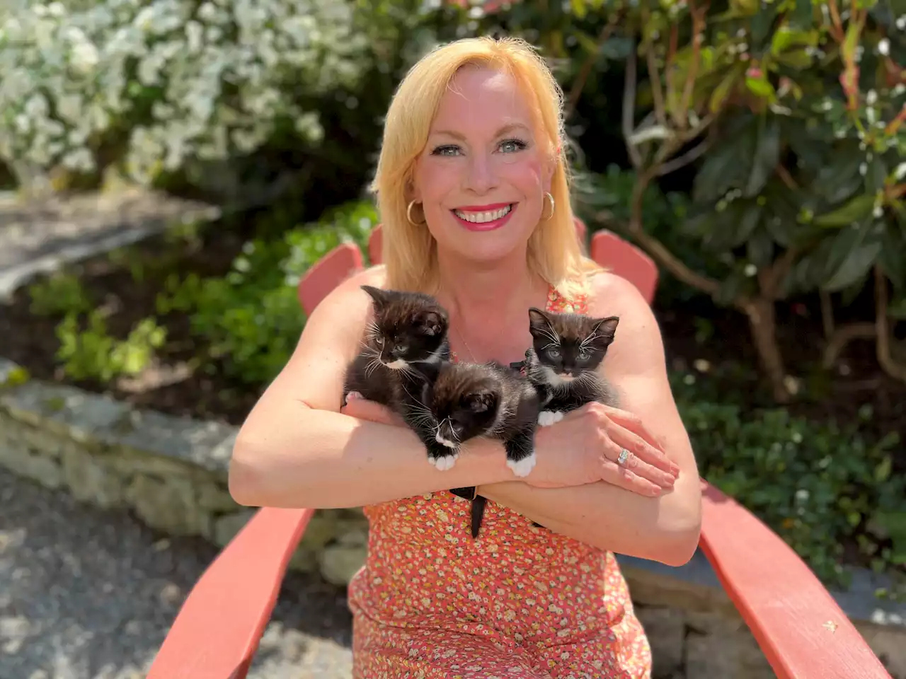 Pet CHEK: Day-old kittens found outside without their mama