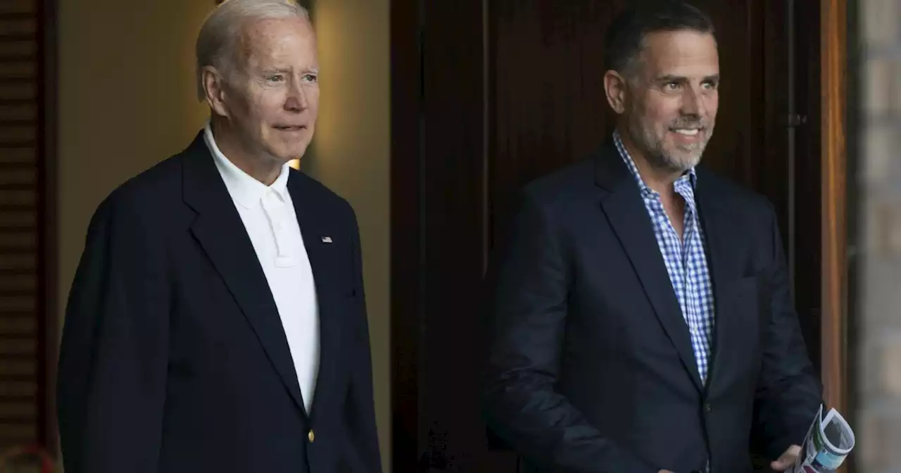 All aboard: The Amtrak appointment that got Hunter Biden's political gravy train running