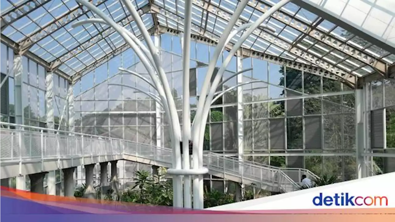 Koleksi Anggrek di Kebun Raya Bogor, Dirintis sejak Zaman Hindia Belanda