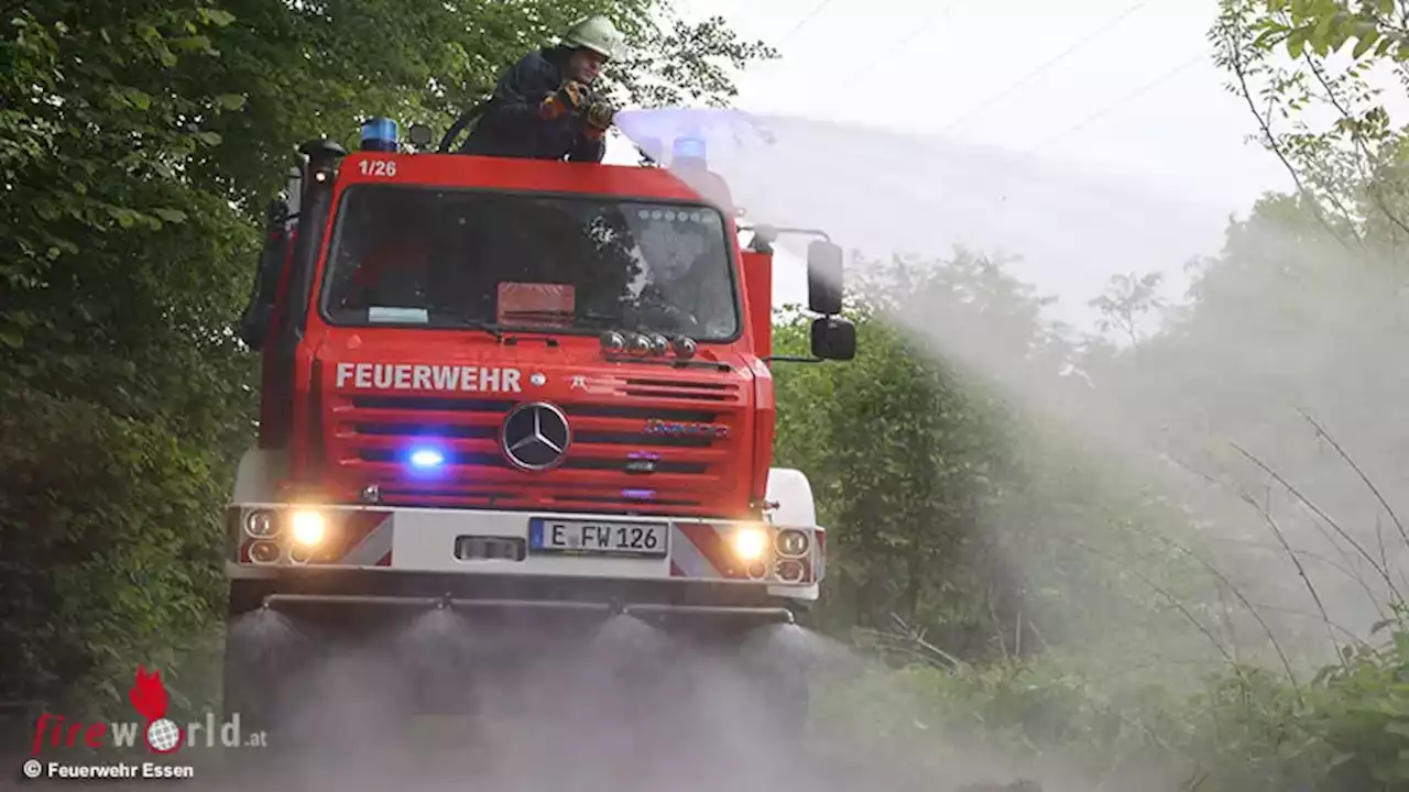 D: Wald- und Vegetationsbrandübung der Feuerwehren in Essen-Byfang mit Unterstützung der Hubschrauber-Fliegerstaffel der Polizei NRW