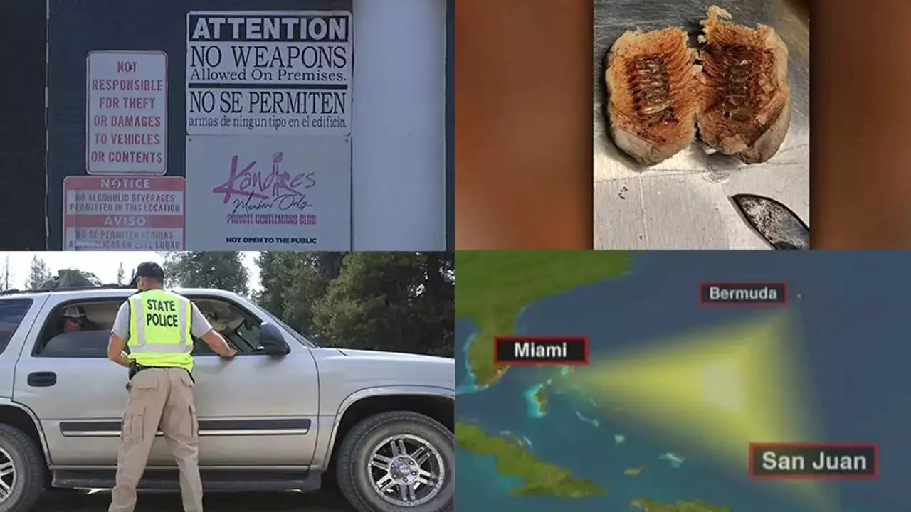 Bermuda Triangle mystery, 630 live insect larvae, heartbreaking scene: tonight's top stories