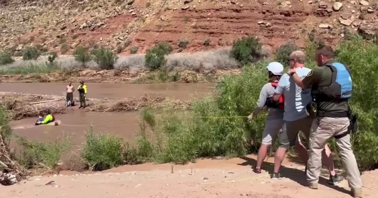 Dad and son rescued from swift water after falling in Virgin River