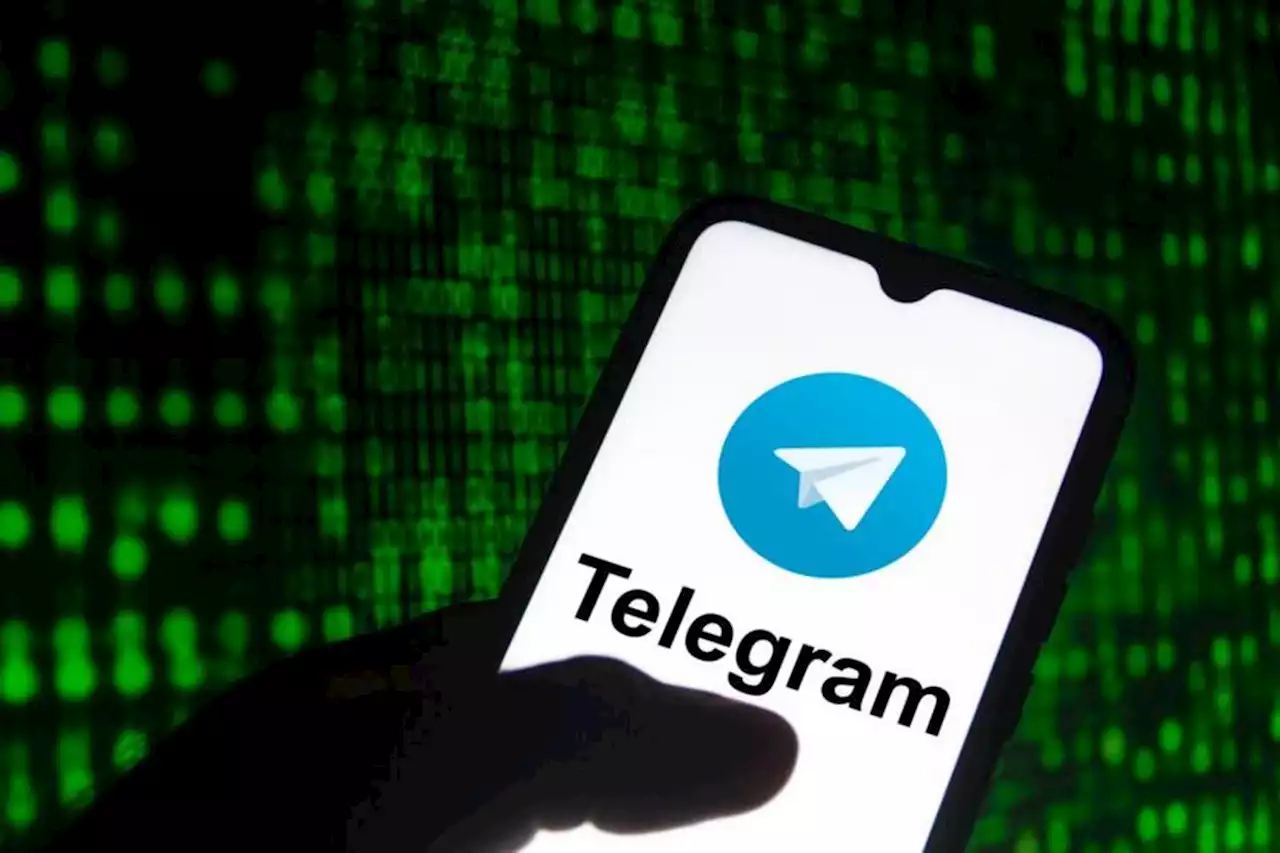 Advogado que representava o Telegram no Brasil não atende mais a empresa