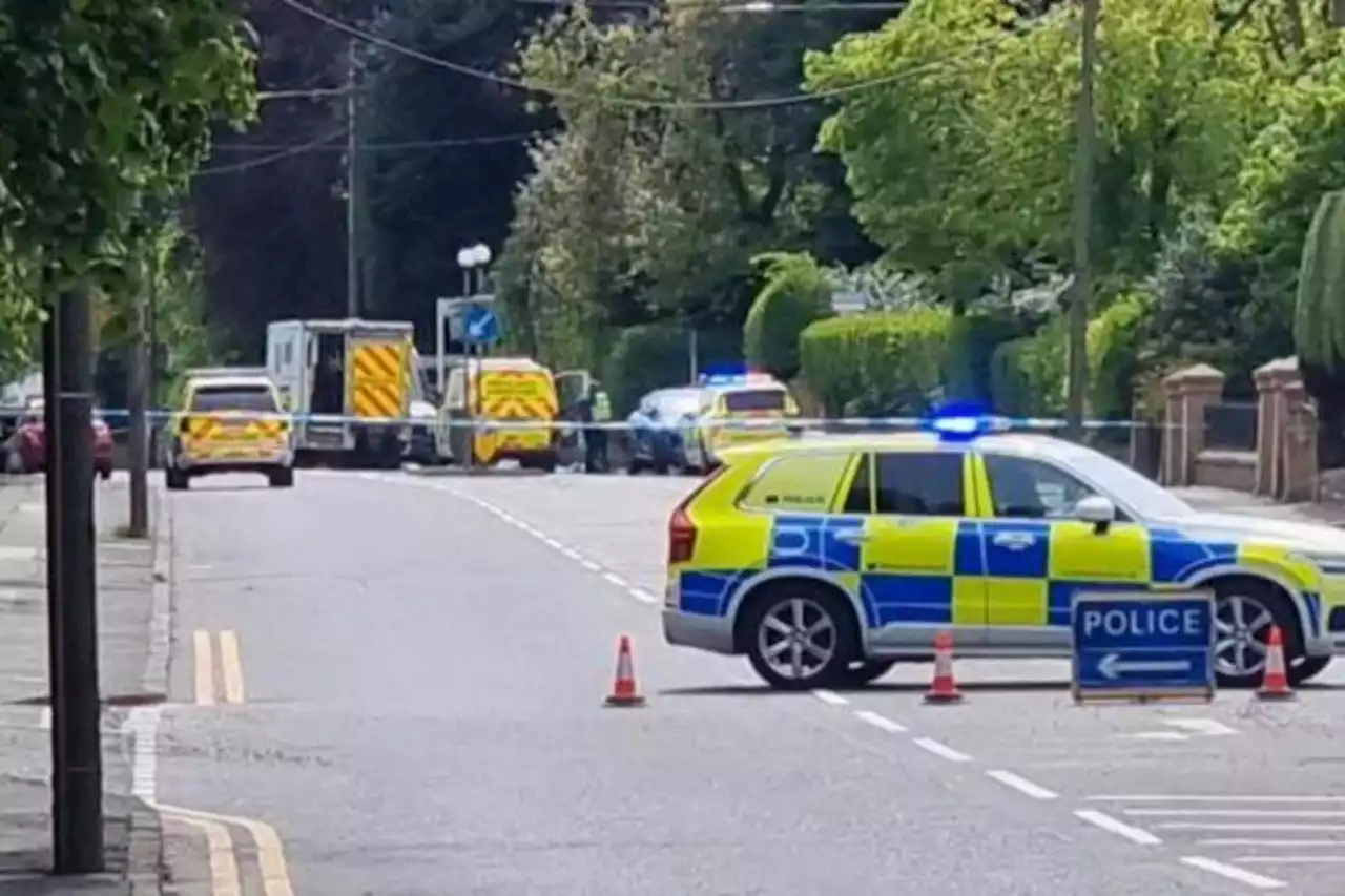 Probe launched as pensioner dies after being hit by car