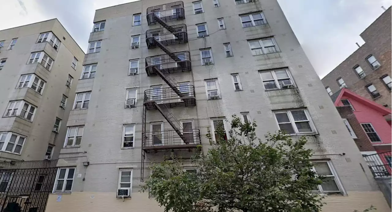 Bronx 9-year-old dies after fall from fourth story window: NYPD