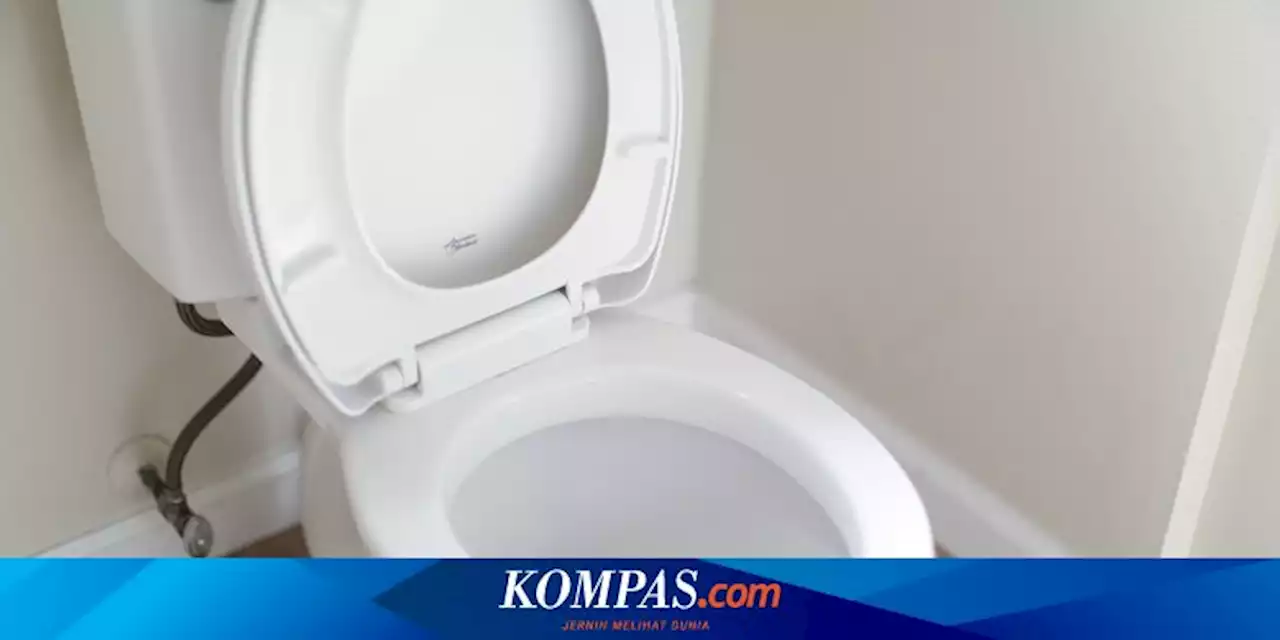 Cara Menghilangkan Noda Karat di Kloset, Bisa Pakai Bumbu Dapur