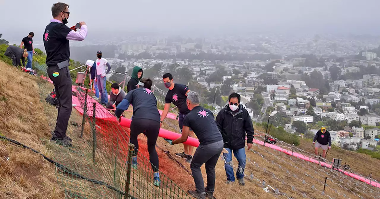 SF Pride organizers seek volunteers to set up Twin Peaks Pink Triangle