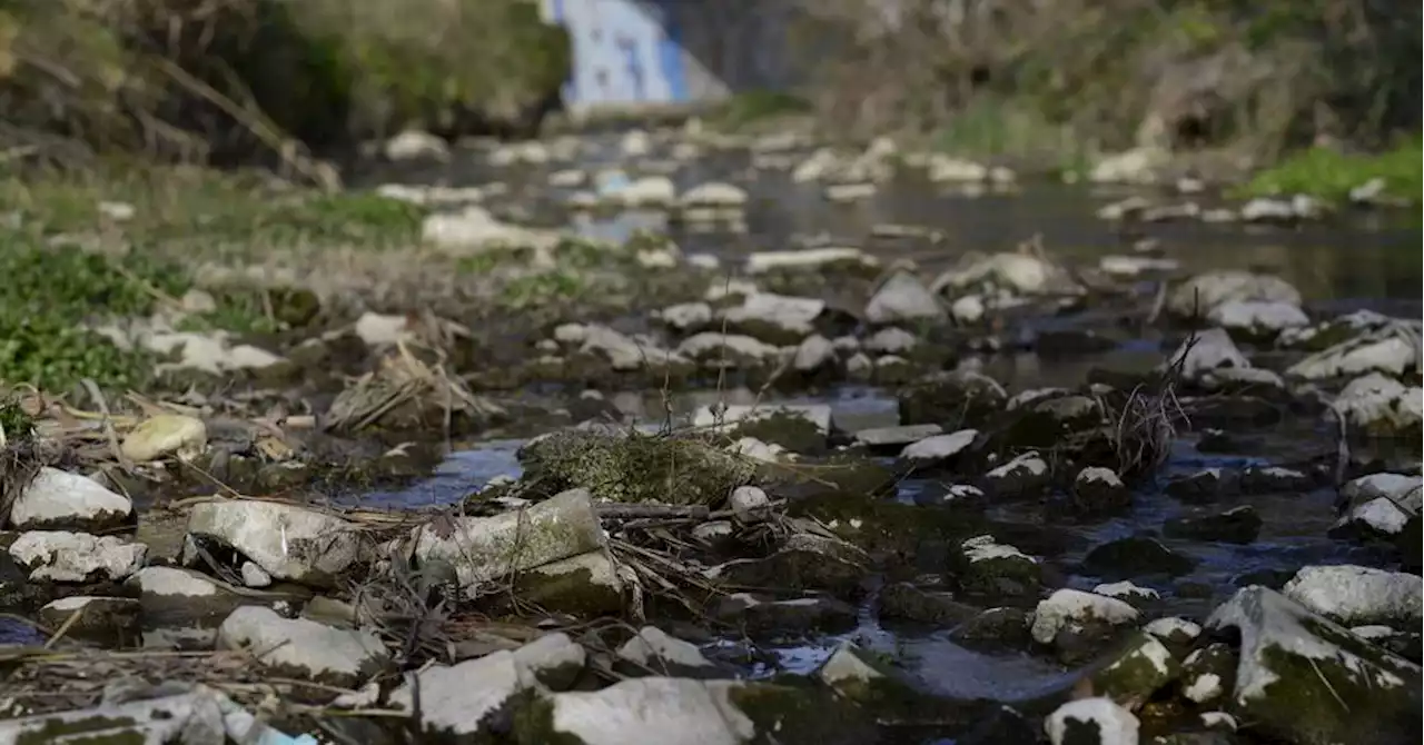 Taux d'humidité des sols en Provence : les pluies de ces derniers jours ont-elles amélioré la situation ?