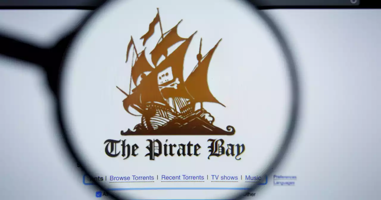 Piratage sur Internet : 166 sites bloqués depuis fin 2022 selon l'Arcom