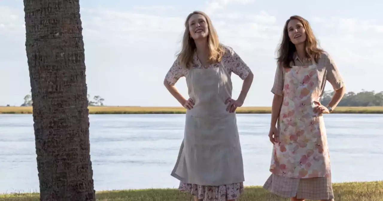 « May December » : Todd Haynes livre un beau portrait de femmes (mais pas son plus grand)