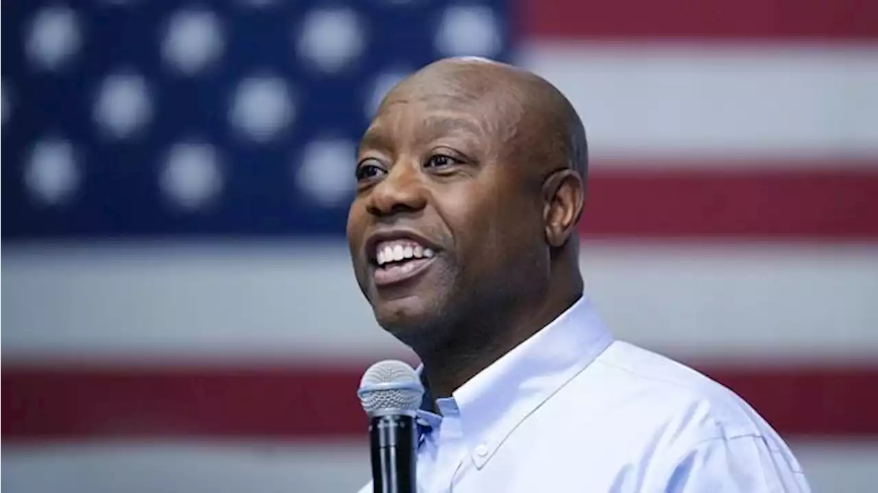 Tim Scott launches 2024 presidential bid seeking optimistic contrast with other top rivals | National Newswatch