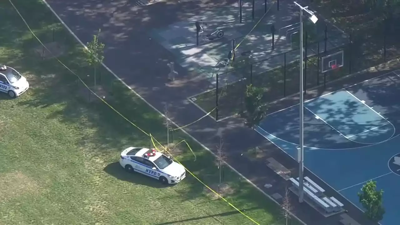 13-Year-Old Brain Dead After Shot Near Staten Island Basketball Court: Police