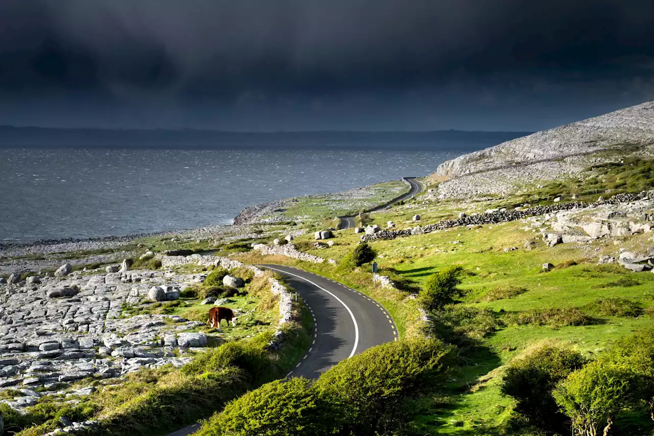 Remote working gives West of Ireland ‘best opportunity’ for renewal