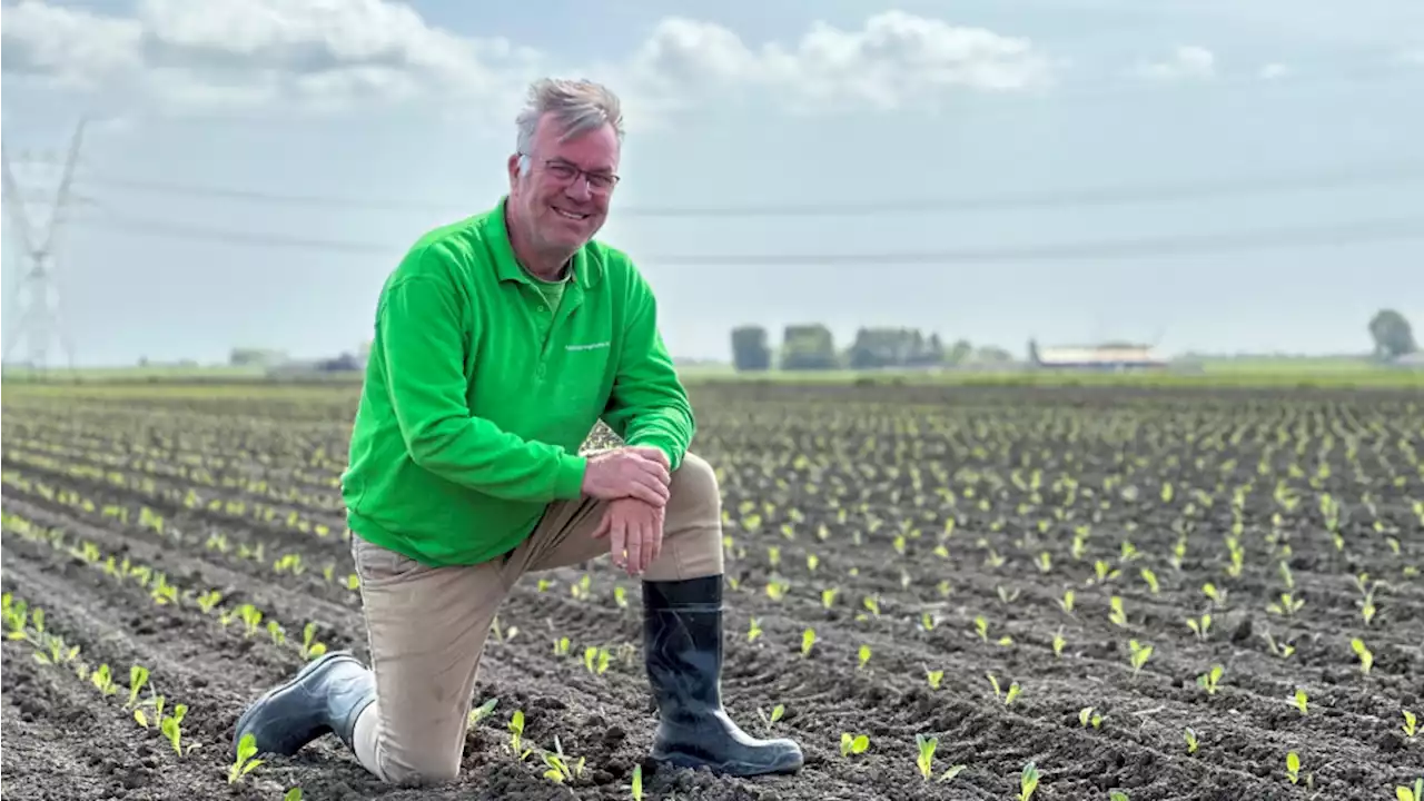 Boer Peter doet het met wormen, schimmels en bacteriën: 'Pis en kak geeft ammoniak'