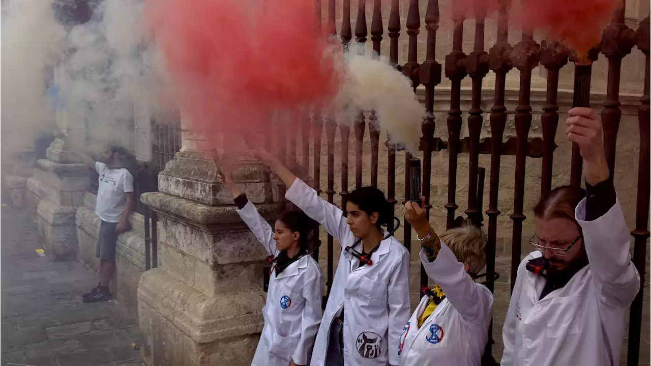 Activistas científicos se encadenan a la valla de la catedral de Sevilla en defensa de Doñana