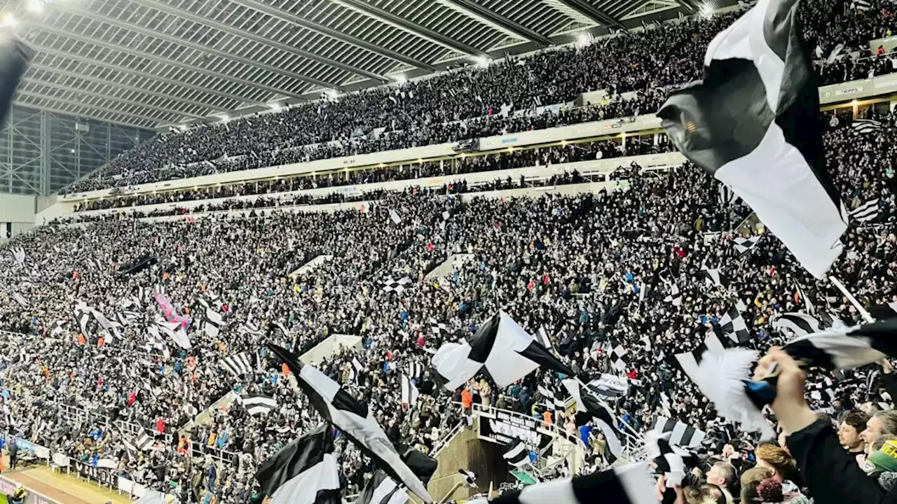 Wor Flags - Ask Newcastle United fans for one final push