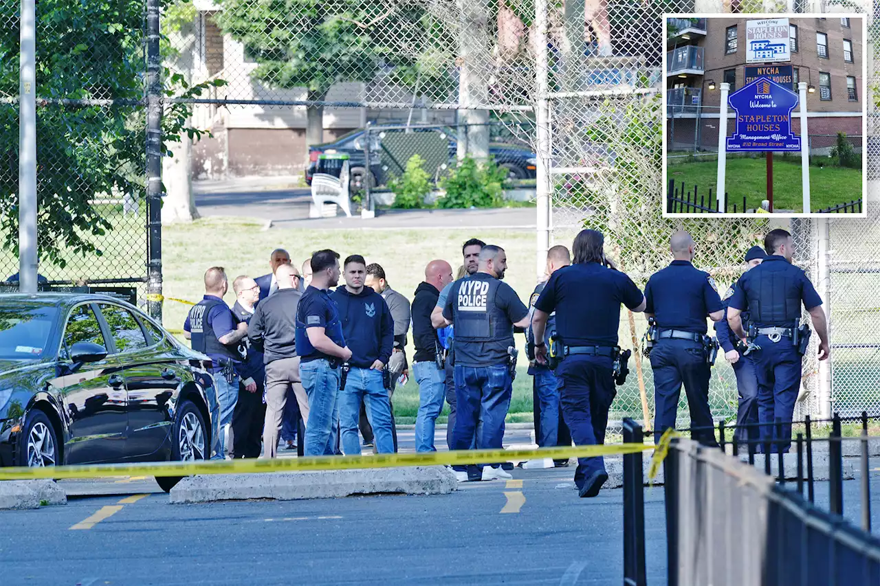 13-year-old NYC boy shot on playground now brain dead: sources