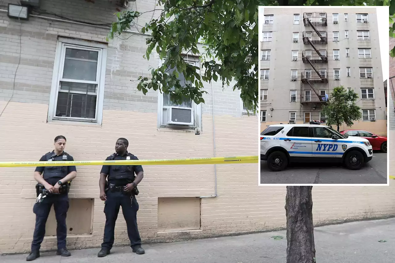 9-year-old boy falls to death from Bronx fire escape