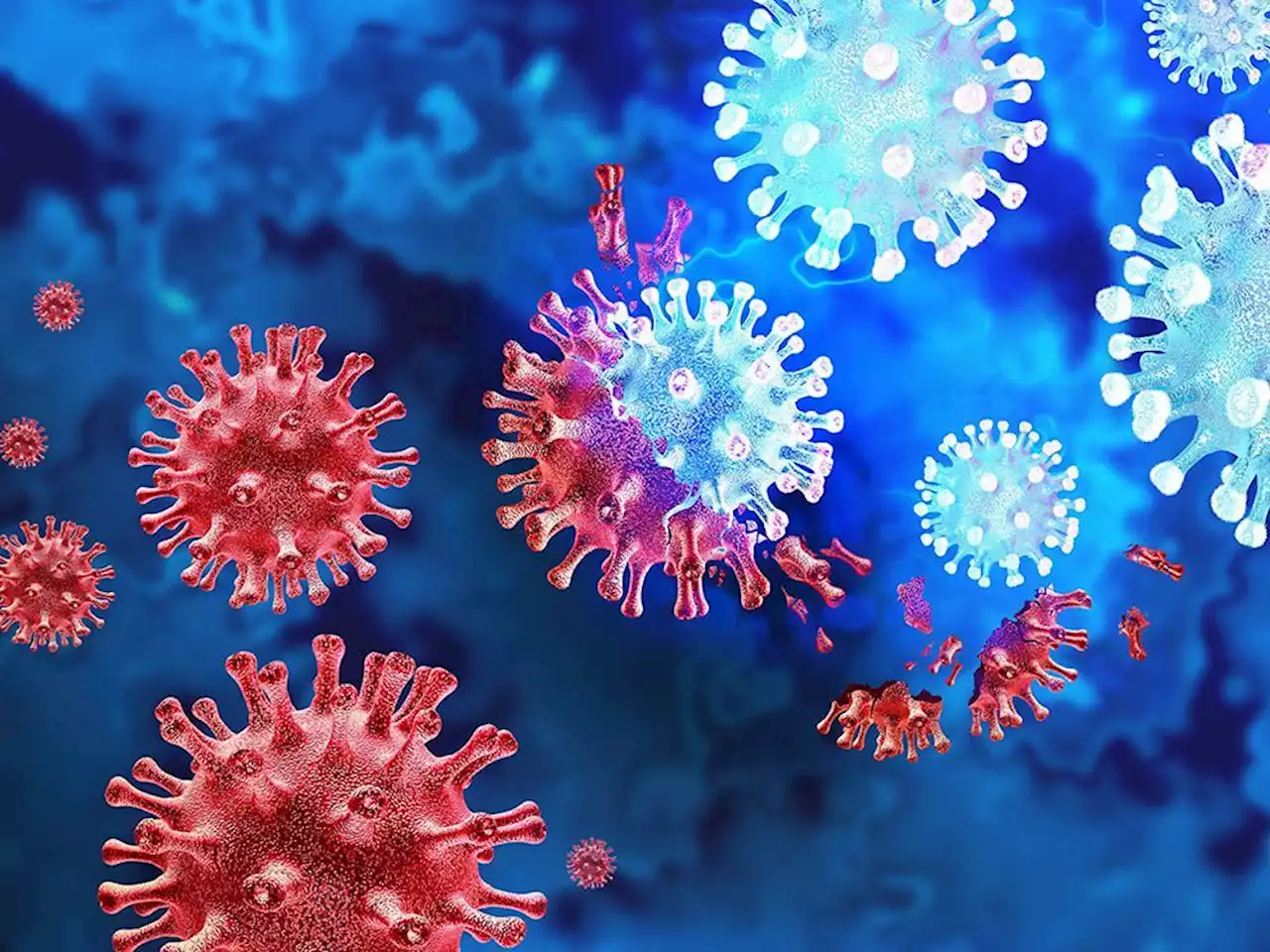 Disease X is coming, and with it the next global pandemic, scientists warn