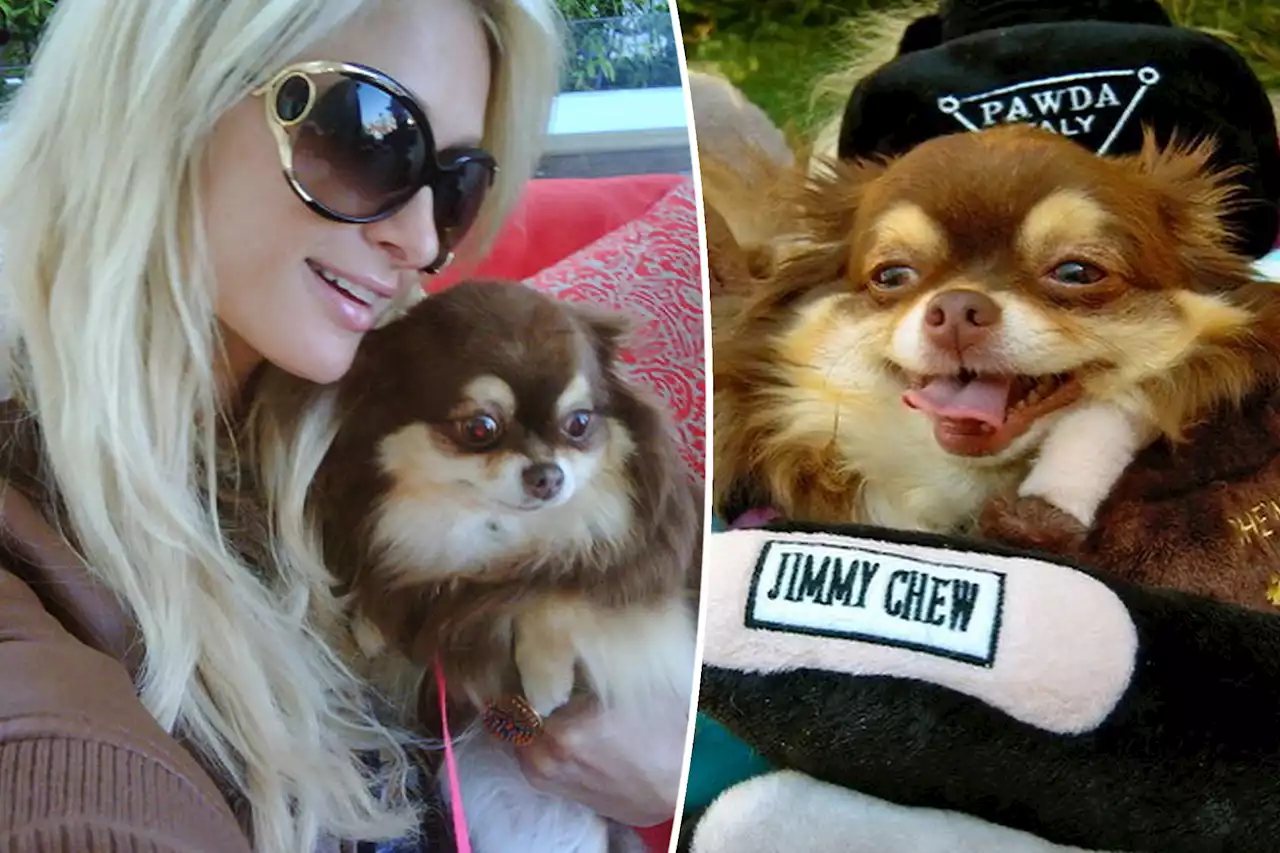 Paris Hilton’s 23-year-old dog, Harajuku Bitch, dies