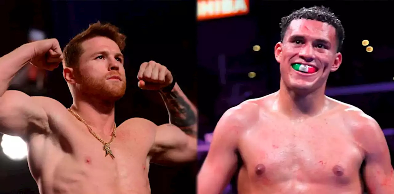 Está a nada la pelea entre el 'Canelo' Álvarez y David Benavidez - Una pelea que todos queremos ver