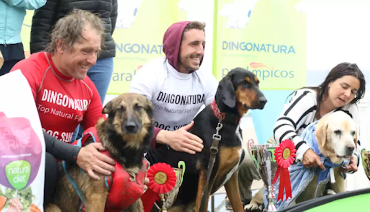 Celebrado en Gijón el Campeonato Europeo de surf para perros