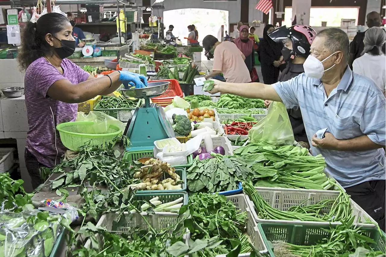 Veggie farmers seek govt’s help to expedite big data system