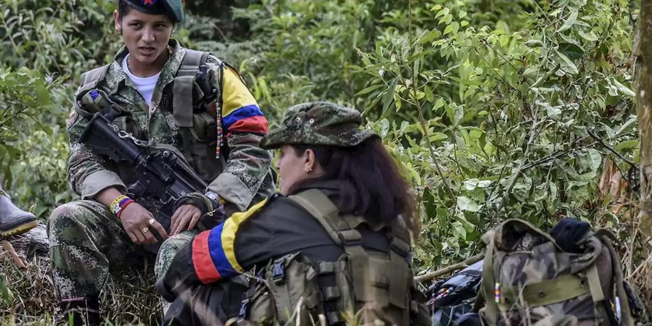 Colombie : après l’exécution de quatre jeunes, le président suspend la trêve dans quatre régions