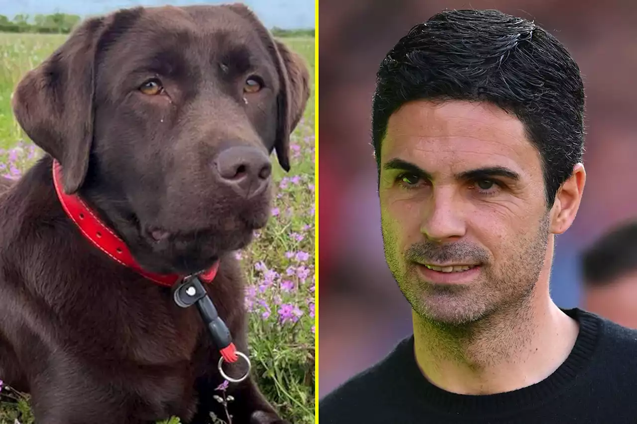 Arteta jokingly told to sell 'family' member after Arsenal miss out on title