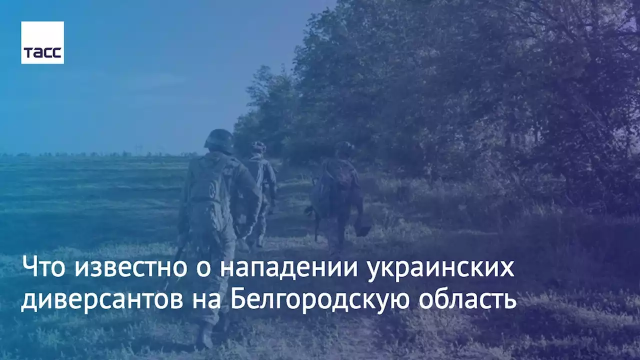 Что известно о нападении украинских диверсантов на Белгородскую область