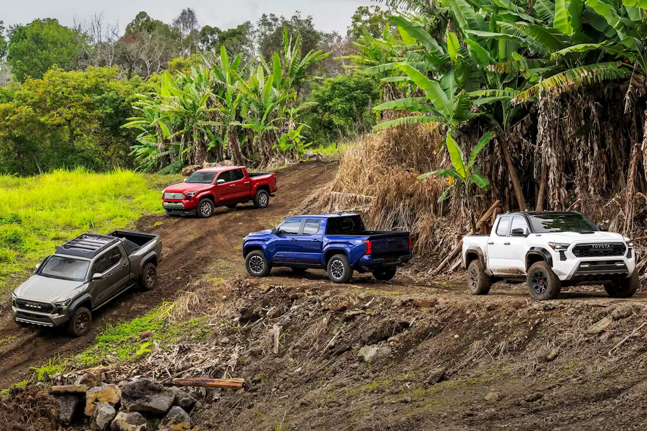 2024 Toyota Tacoma gets hybrid and manual transmission options