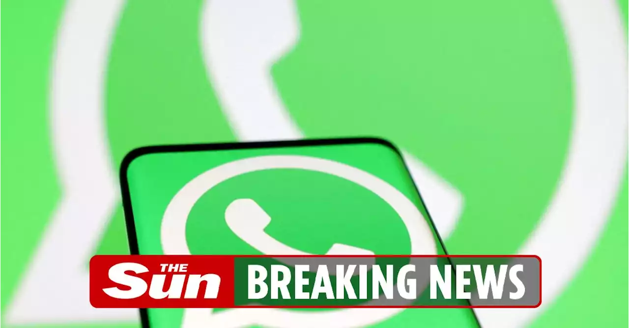 WhatsApp adds lifesaving brand new button that could help you avoid massive rows