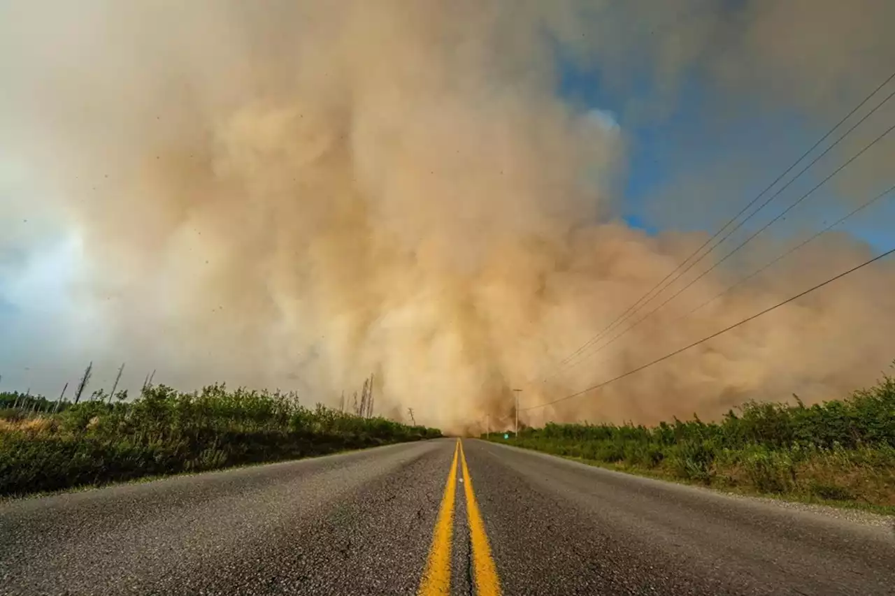 Parts of Cariboo under evacuation order after new wildfire in B.C.'s central Interior