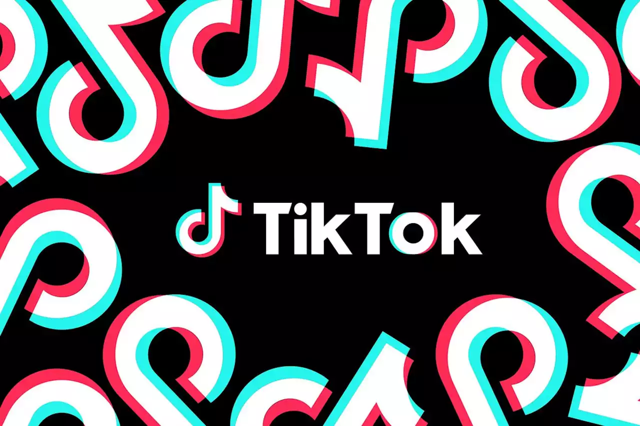 TikTok sues Montana over controversial state ban