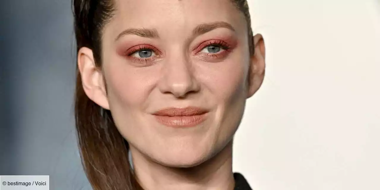 PHOTO Marion Cotillard : avec son brushing XL digne d'un top model, elle électrise le Festival de Cannes - Voici