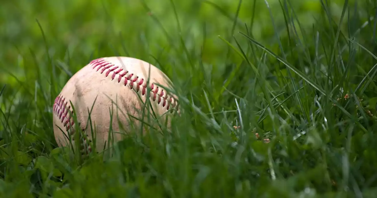 Child fondled at Greenwood Little League, father walks in on it happening