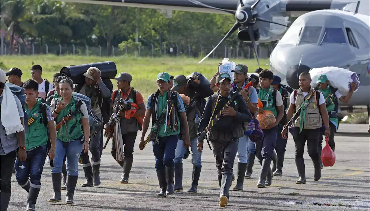 Los indígenas buscan que la selva 'libere' a los cuatro niños desaparecidos